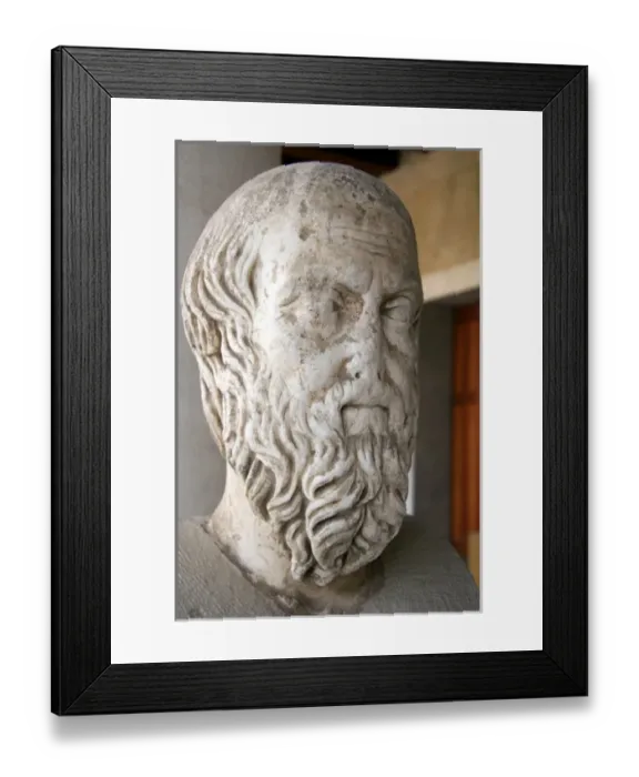 Framed Print : Herodotus of Halicarnassus (484-425 BC). Was a Greek historian. 5th century BC Bust