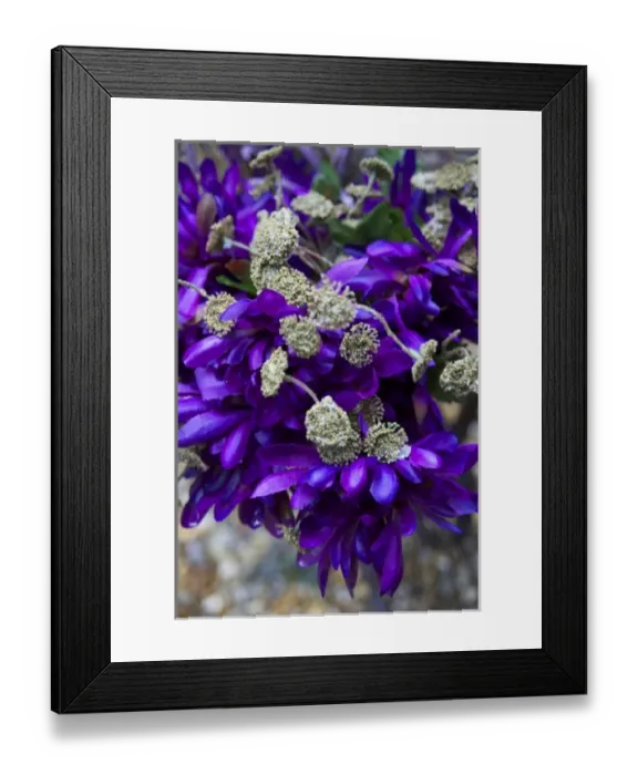 Framed Print : USA, close-up of purple floral decoration, wedding detail Framed Print : USA, close-up of purple floral decoration, wedding detail