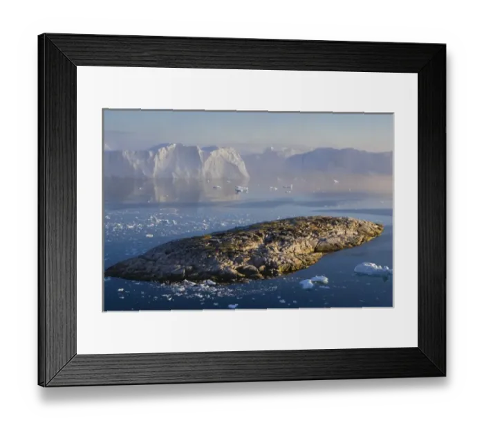 Framed Print : Rocky island and large icebergs at midnight drifting in fiord, end of June, mid summer