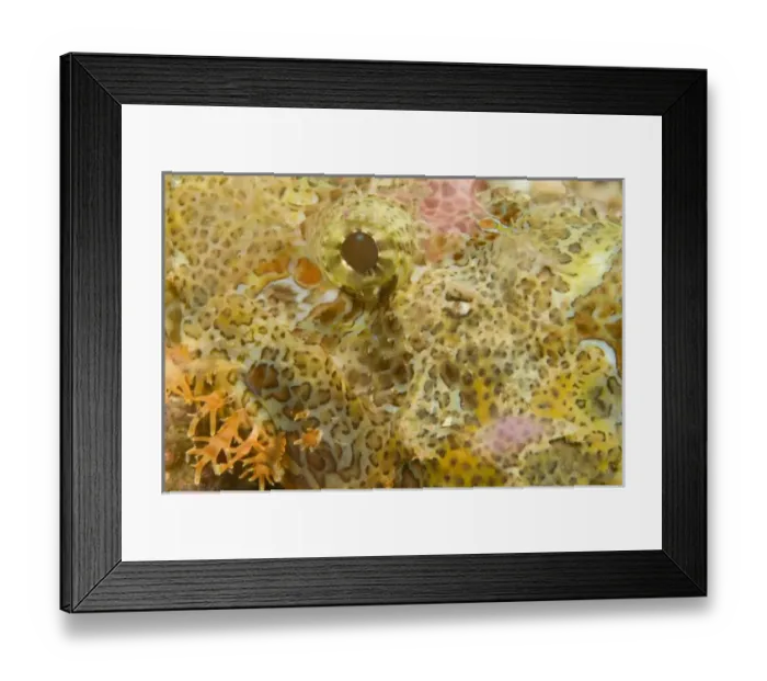 Framed Print : Nature, Fauna Framed Print : Nature, Fauna