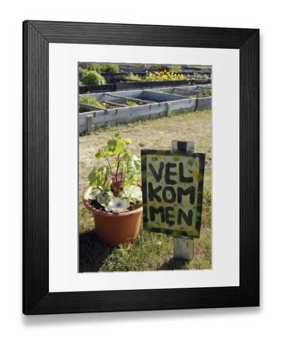 Framed Print : Greenland. Upernaviarsuk Agricultural Research Center, Qaqortoq, Greenland Framed Print : Greenland. Upernaviarsuk Agricultural Research Center, Qaqortoq, Greenland