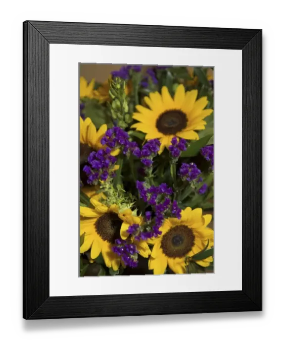 Framed Print : Lifestyle, Couples, Romance Framed Print : Lifestyle, Couples, Romance