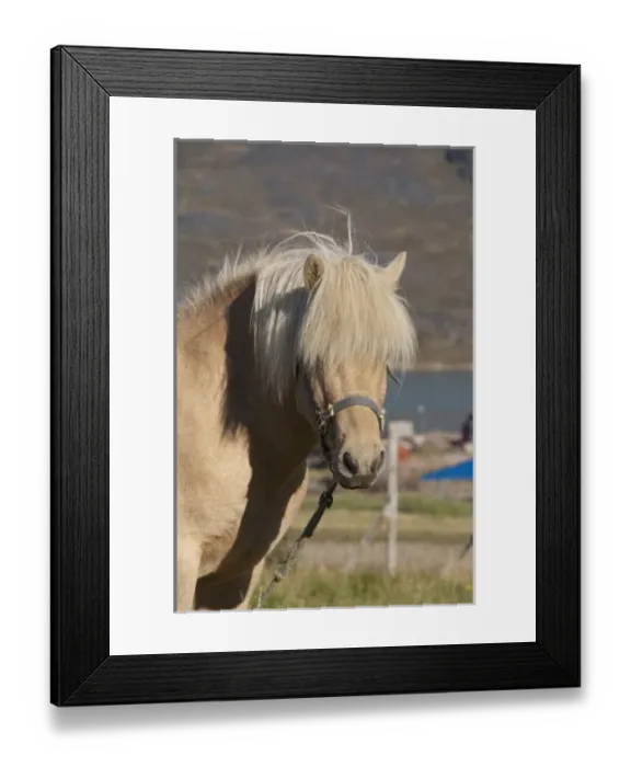 Framed Print : Greenland, Igaliku (aka Igaliko). Settlement known for ruins of Gardar Framed Print : Greenland, Igaliku (aka Igaliko). Settlement known for ruins of Gardar