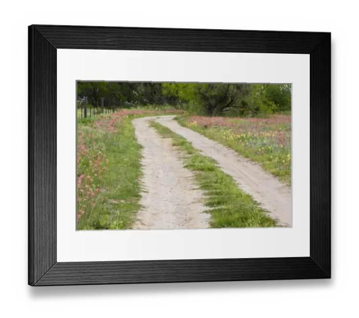 Framed Print : Texas Hill Country, USA, North America. Back country road leading through large Framed Print : Texas Hill Country, USA, North America. Back country road leading through large