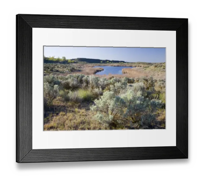Framed Print : USA, North America, Washington Framed Print : USA, North America, Washington