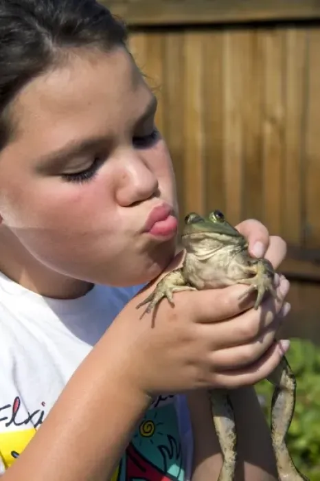 Framed Print : 11 year old girl kissing a bullfrog in Boise, Idaho. (MR)