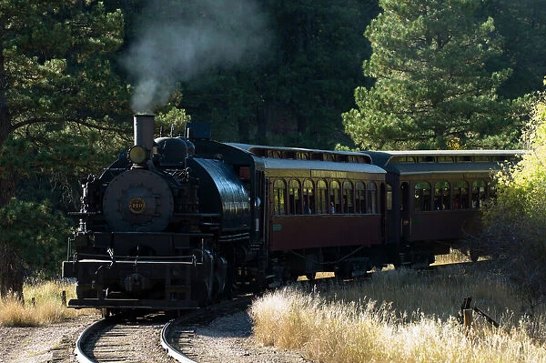 1880 Train, Hill City, Black Hills, South Dakota, USA