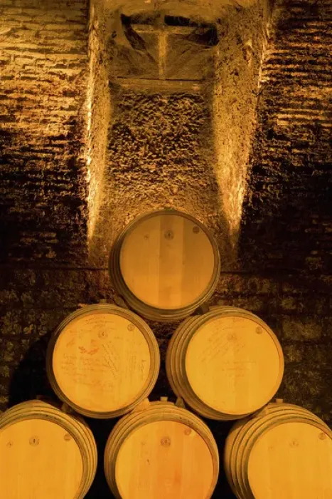 Framed Print : 19th Century Wine Cellar, Juanico Winery, Uruguays largest and most award-winning Framed Print : 19th Century Wine Cellar, Juanico Winery, Uruguays largest and most award-winning