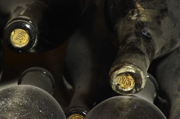 2000 stamped on the cork on old dusty bottles. Domaine Cazeneuve in Lauret. Pic St Loup