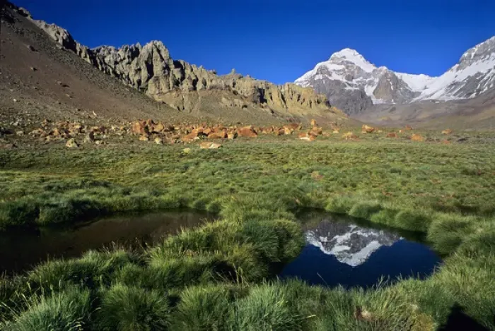 Framed Print : 22, 841 summit of Cerro Aconcagua, highest mountain in the Andes, towers above Framed Print : 22, 841 summit of Cerro Aconcagua, highest mountain in the Andes, towers above