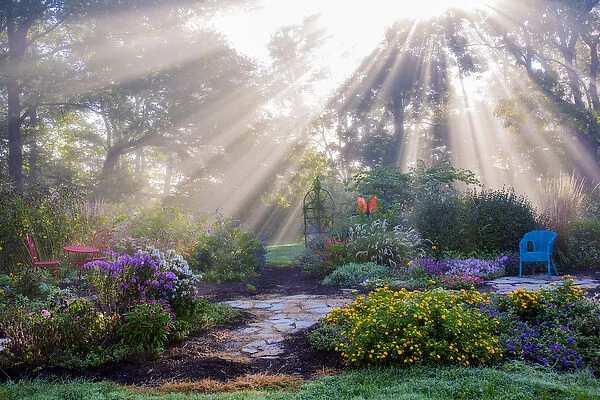 63821-23701 Sun rays in fog in flower garden, Marion Co. IL