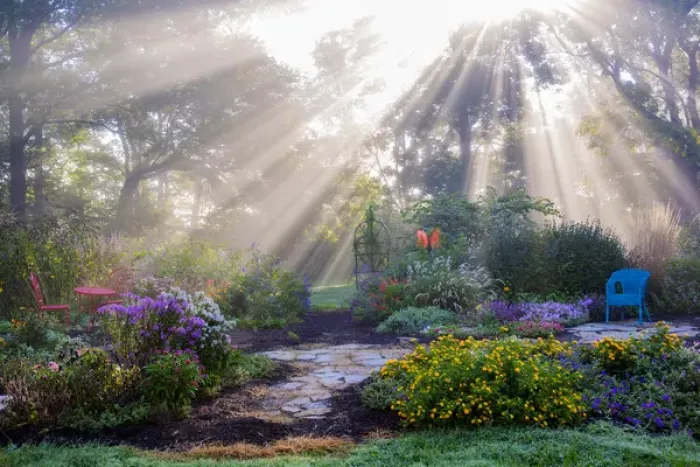 Framed Print : 63821-23701 Sun rays in fog in flower garden, Marion Co. IL