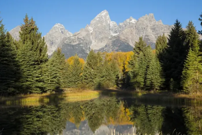 Framed Print : 67545-09506 Sunrise at Schwabacher Landing in fall, Grand Teton National Park, WY