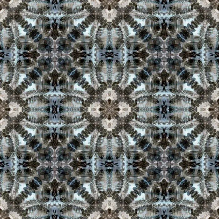 Framed Print : AB01 BJY0279