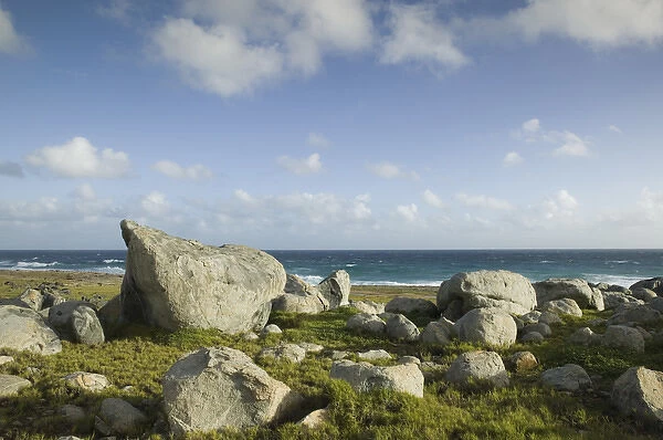 ABC Islands - ARUBA - Noord: Rock Formations along Northeast Aruba Coast