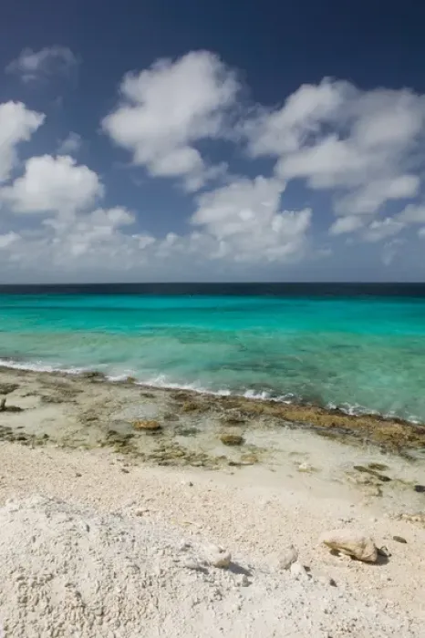 Framed Print : ABC Islands - BONAIRE - Pink Beach: Beach View
