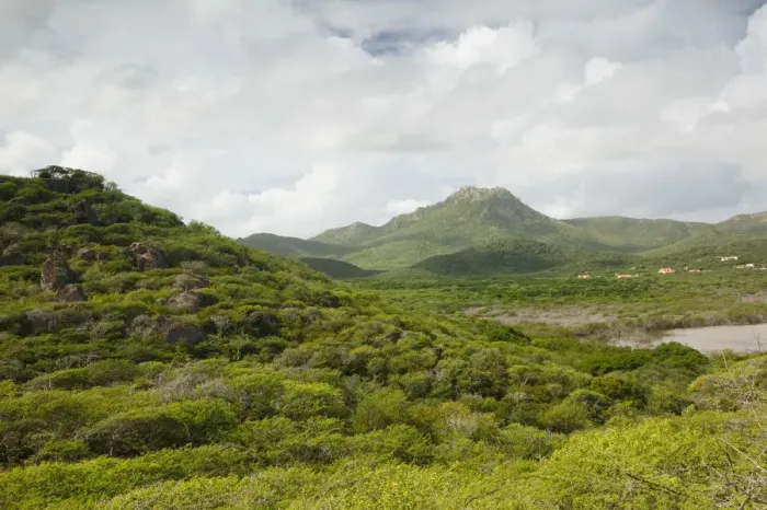 Framed Print : ABC Islands - CURACAO - Northern Curacao: Christoffel National Park - View of Framed Print : ABC Islands - CURACAO - Northern Curacao: Christoffel National Park - View of