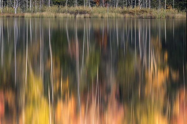 Abstract fall color reflection, Upper Peninsula of Michigan