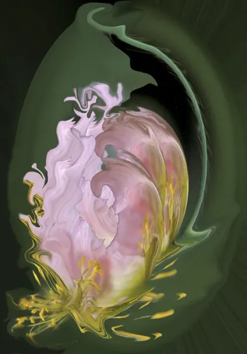 Framed Print : Abstract flowers, digitally manipulated. Credit as: Ellen Anon  /  Jaynes Gallery  /  DanitaDelimont
