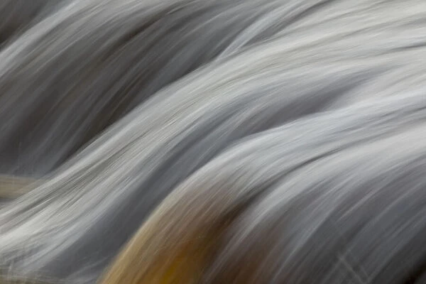 Abstract flowing water, Tahquamenon River, Tahquamenon Falls State Park, Michigan