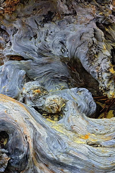 Abstract pattern in driftwood, Bandon Beach, Oregon