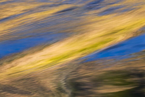 Abstract reflection of blue sky and autumn gold on flowing water, Canary Spring