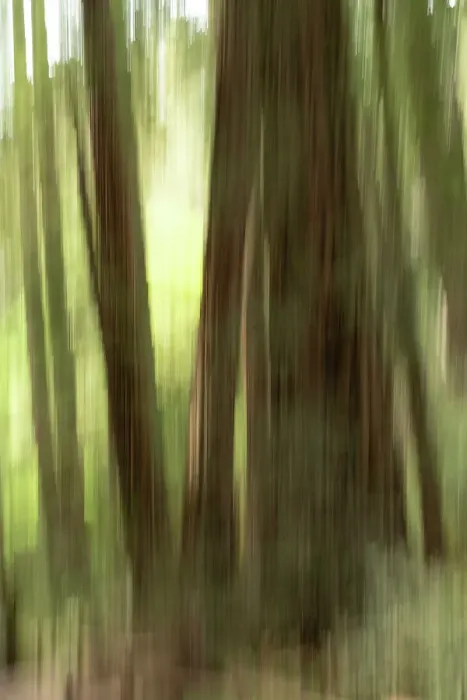 Framed Print : Abstract trees