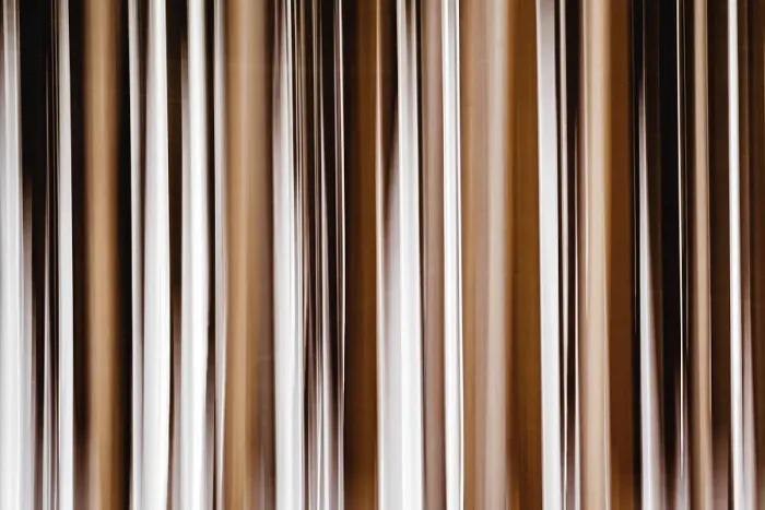 Framed Print : Abstract vertical tree trunks