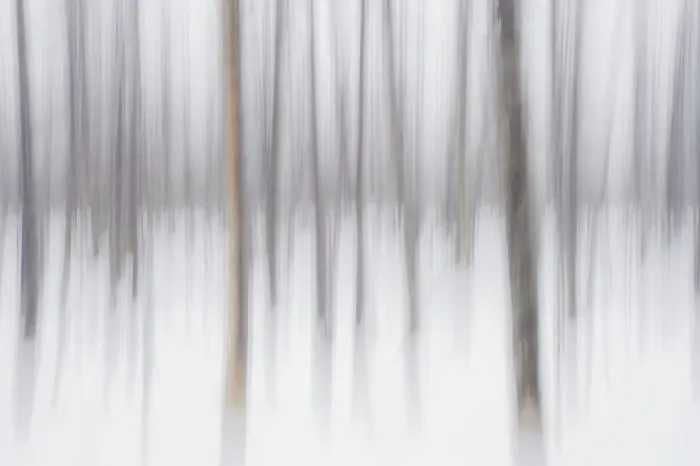 Framed Print : Abstract winter, Yellowstone Framed Print : Abstract winter, Yellowstone