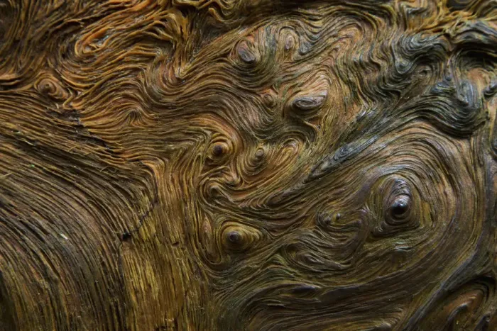 Framed Print : Abstract wood grain