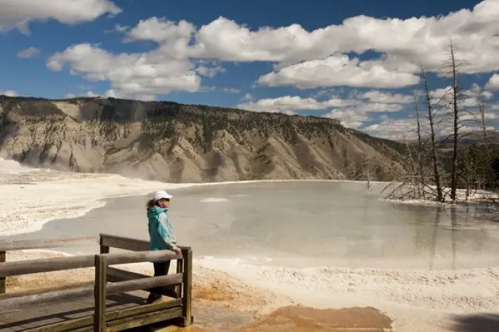 Framed Print : Admiring Canary Springs, Mammoth Terrace, Yellowstone National Park, Wyoming, model
