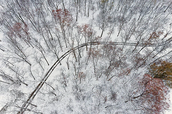 Aerial of forest and road after snowfall, Marion County, Illinois. (Editorial Use Only)