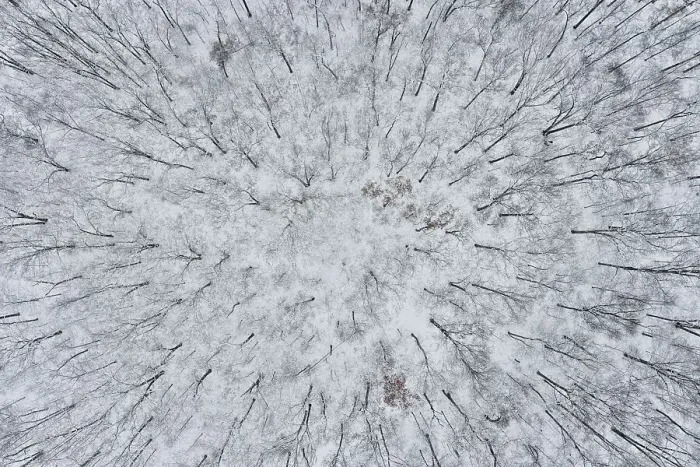 Framed Print : Aerial of forest after snowfall, Marion County, Illinois. (Editorial Use Only) Framed Print : Aerial of forest after snowfall, Marion County, Illinois. (Editorial Use Only)