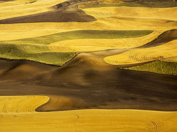 Aerial of harvest in the rolling hills of the Palouse