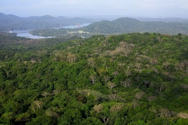 aerial image of the Gamboa Rainforest Ressort in Gamboa, Panama Canal Zone, Panama