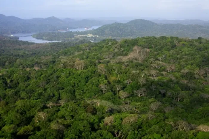 Framed Print : aerial image of the Gamboa Rainforest Ressort in Gamboa, Panama Canal Zone, Panama
