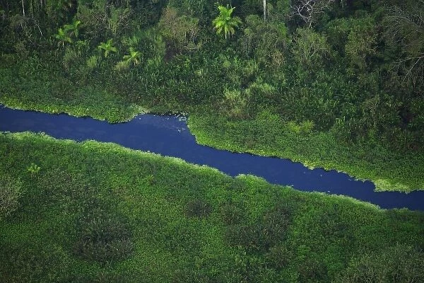 aerial image of tropical forest in the Panama Canal Zone, Panama