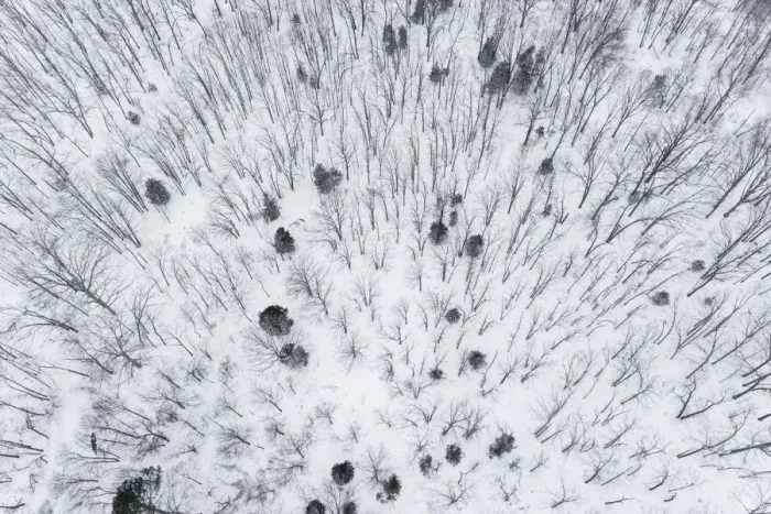 Framed Print : Aerial of snow-covered woods Stephen A. Forbes State Park, Marion County, Illinois