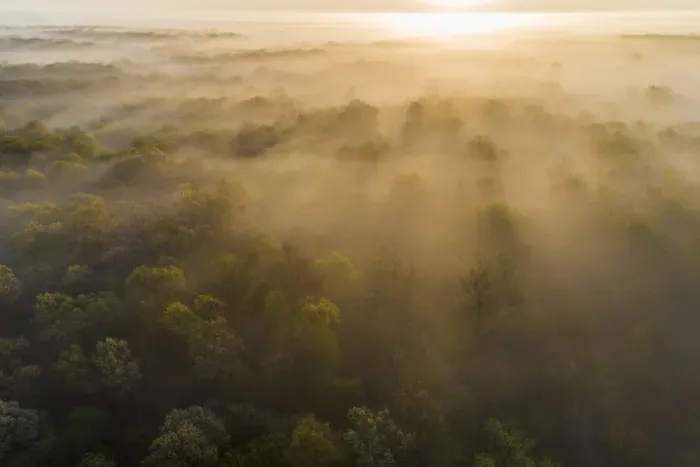 Framed Print : Aerial sunrise over forest covered with fog in spring Marion County, Illinois Framed Print : Aerial sunrise over forest covered with fog in spring Marion County, Illinois