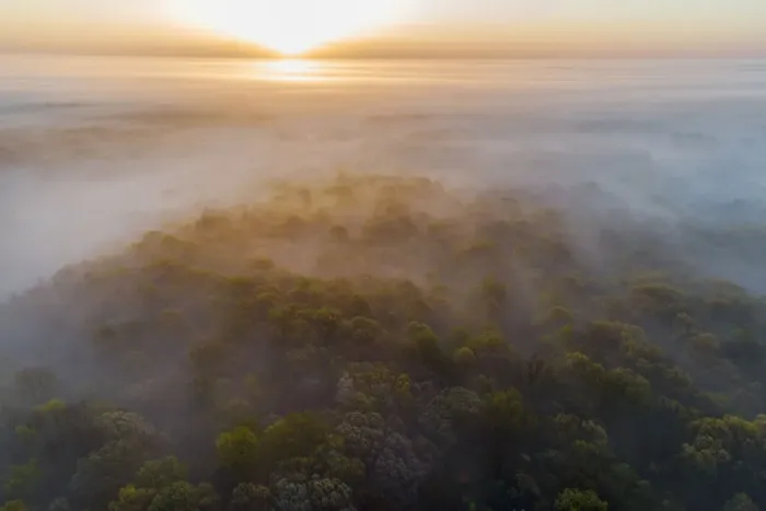 Framed Print : Aerial sunrise over forest covered with fog in spring Marion County, Illinois