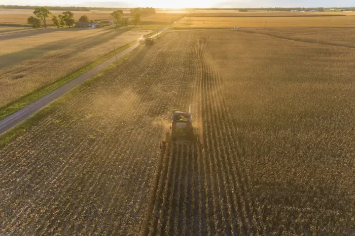 Framed Print : Aerial view of combine harvesting corn field at sunset, Marion County, Illinois Framed Print : Aerial view of combine harvesting corn field at sunset, Marion County, Illinois