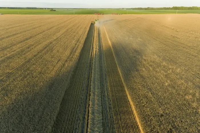 Framed Print : Aerial view of combine harvesting wheat at sunset, Marion County, Illinois Framed Print : Aerial view of combine harvesting wheat at sunset, Marion County, Illinois