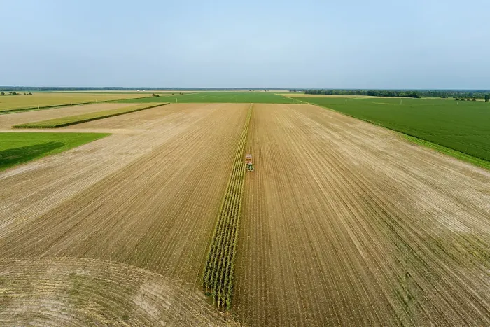 Framed Print : Aerial view of farmer cutting corn silage for cattle feed, Marion County, Illinois. (Editorial Use Only) Framed Print : Aerial view of farmer cutting corn silage for cattle feed, Marion County, Illinois. (Editorial Use Only)
