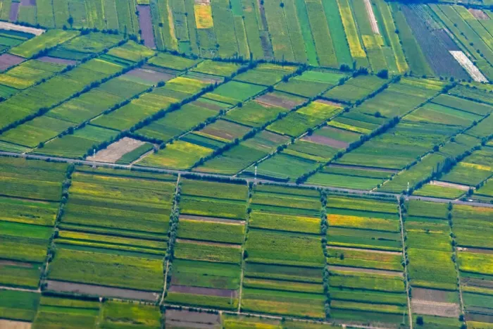 Framed Print : Aerial view of farmland, Xinjiang Province, China Framed Print : Aerial view of farmland, Xinjiang Province, China