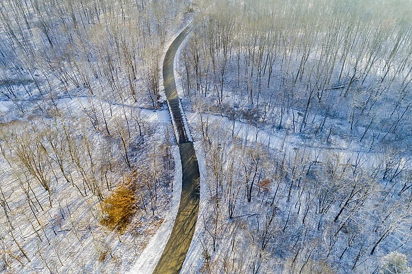 Aerial view of forest and road after snowfall in winter Stephen A