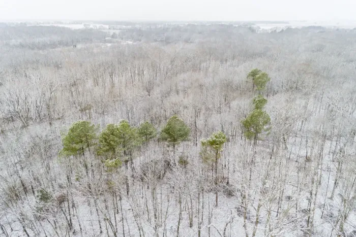 Framed Print : Aerial view of a fresh snow over the forest, Marion County, Illinois Framed Print : Aerial view of a fresh snow over the forest, Marion County, Illinois