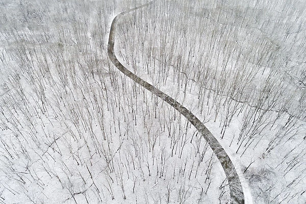 Aerial view of a fresh snow over the forest and road, Marion County, Illinois