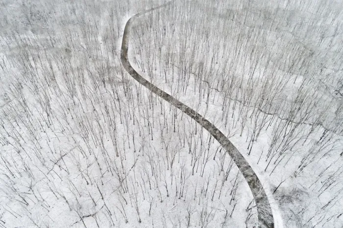 Framed Print : Aerial view of a fresh snow over the forest and road, Marion County, Illinois