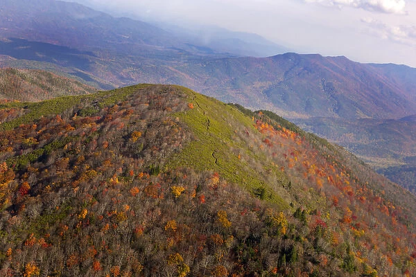 Aerial view of Great Smoky Mountains National Park from helicopter in autumn