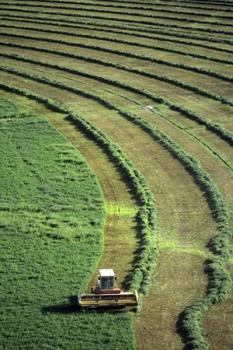 Framed Print : Aerial view of a hay harvest in Grandview, Idaho Framed Print : Aerial view of a hay harvest in Grandview, Idaho